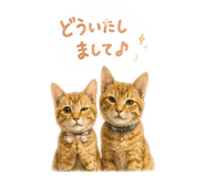 862854316