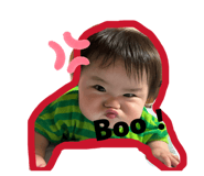862854481