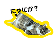 862854483