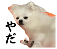 862855218