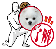 862855220