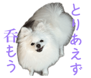 862855224