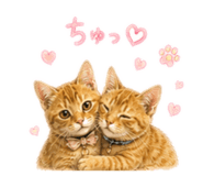 862855431