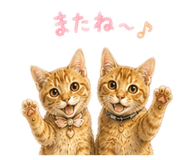 862855432