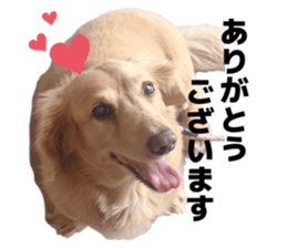 862855685