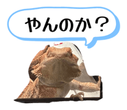 862855970