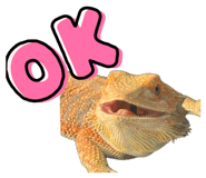 862855972