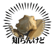 862855973
