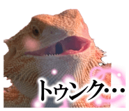 862855974