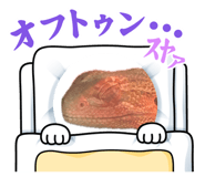 862855980