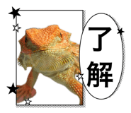 862855985