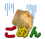 862855986