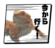 862855992