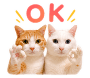 862857642
