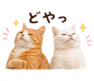 862857655