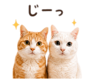 862857666