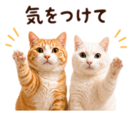 862857668