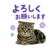 862857702