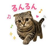 862857705