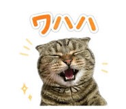 862857711
