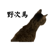 862857824