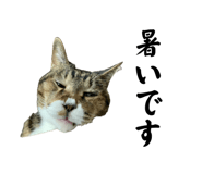 862857829