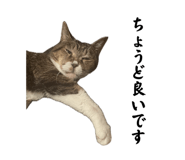 862857831