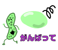 862858097
