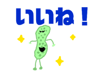 862858100
