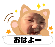 862858631