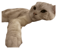 862858645
