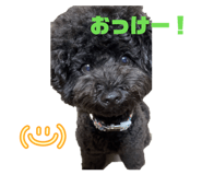 862858658