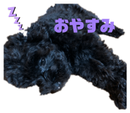 862858661