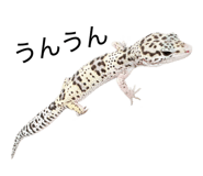 862859501