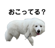 862859793