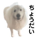 862859798