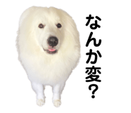 862859799