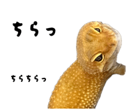 862860316