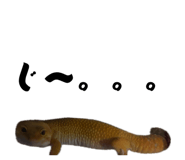 862860318