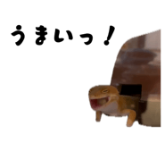 862860320