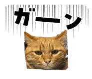 862860361