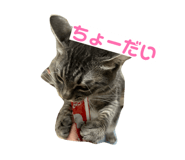 862860937