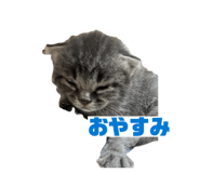 862860941