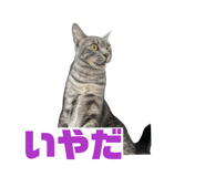 862860942