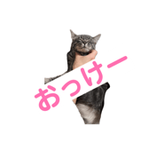 862860943