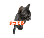 862860944