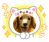862860985