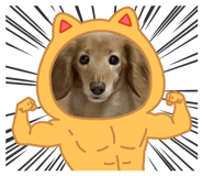 862860986