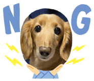 862860991