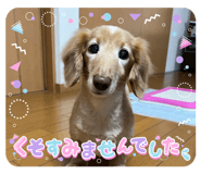 862860998